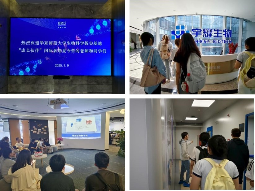 图片4.jpg 图片4.jpg