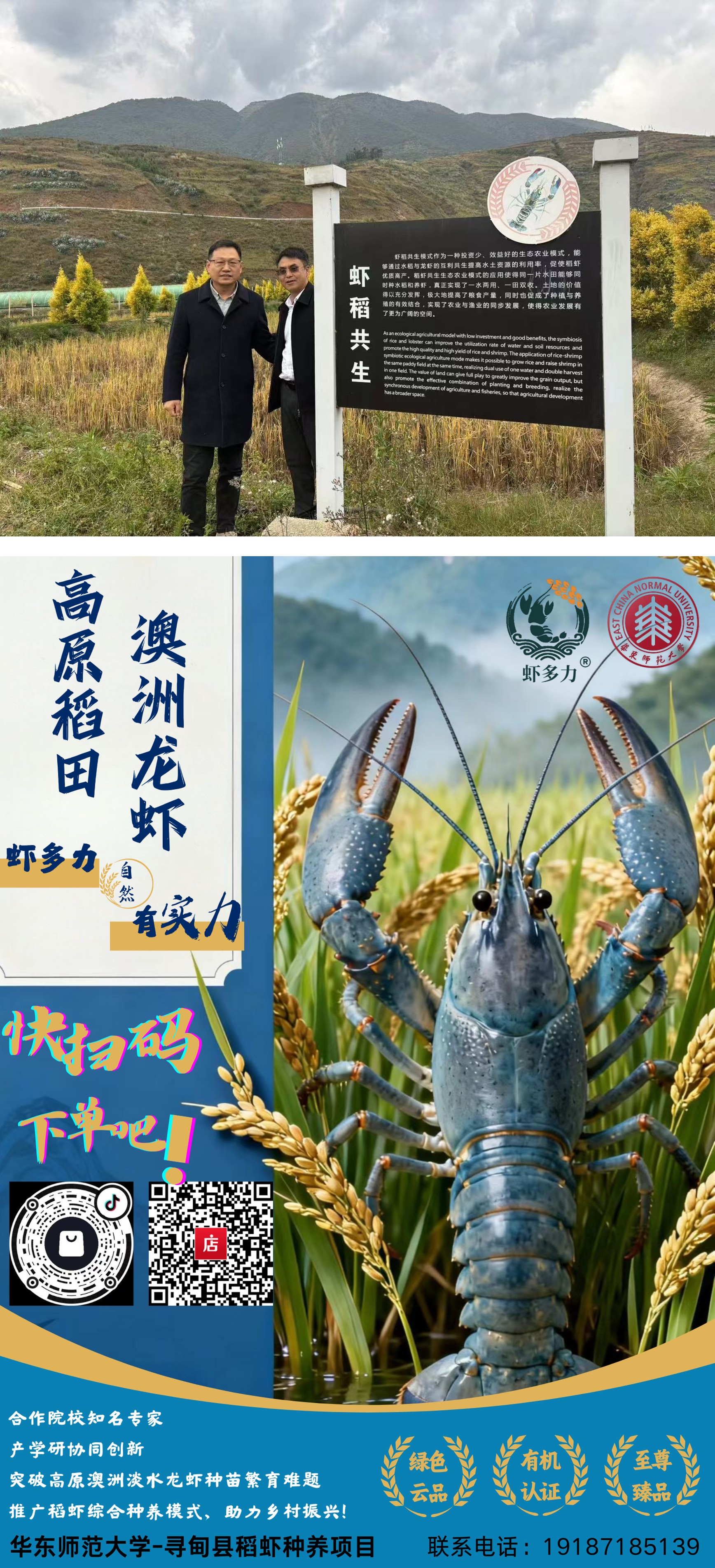 图片1.jpg