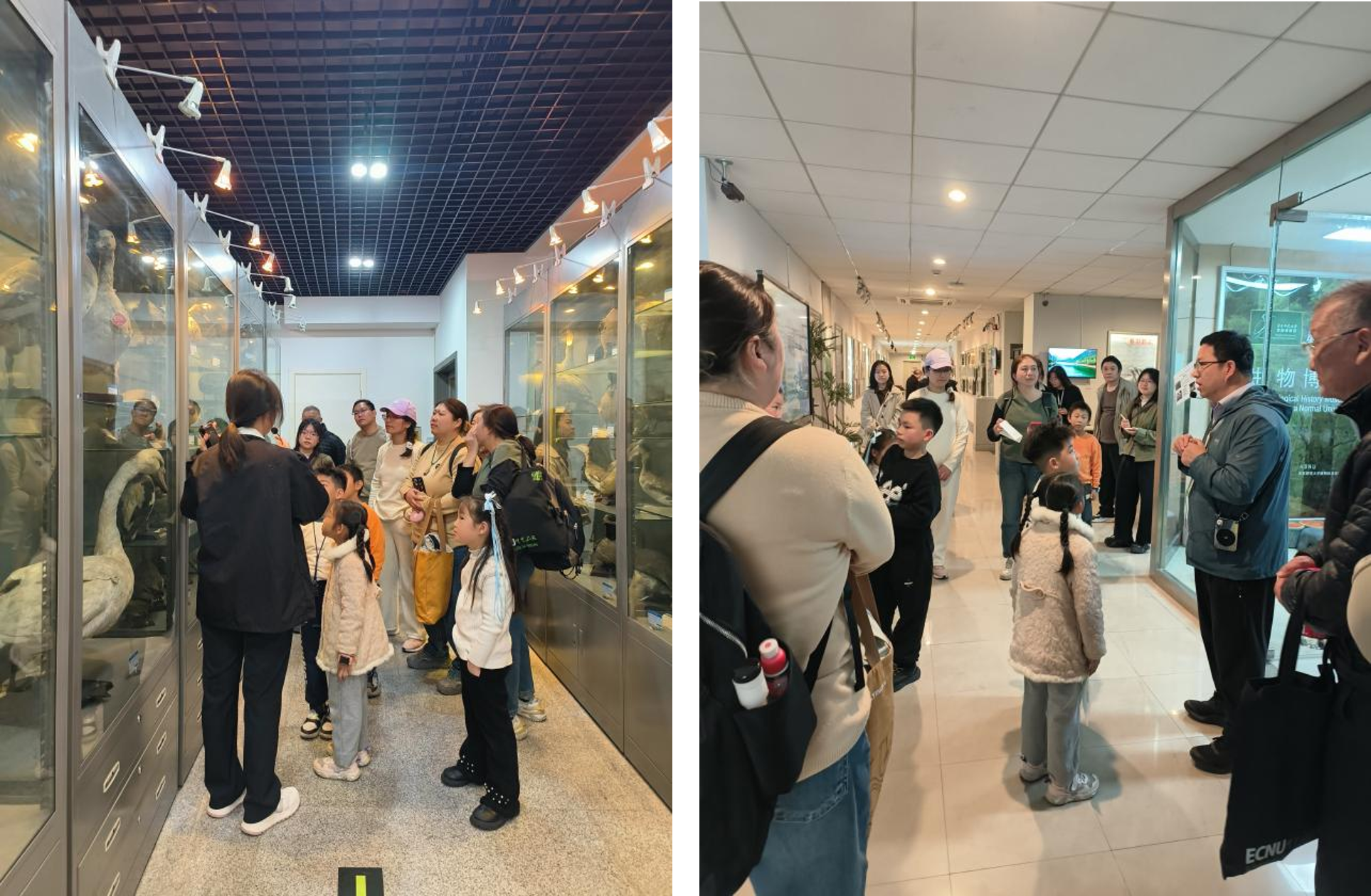 图片78.png 图片78.png