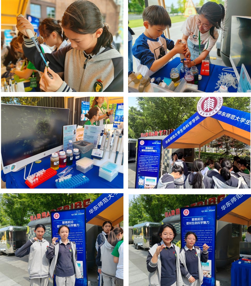 图片3.jpg 图片3.jpg