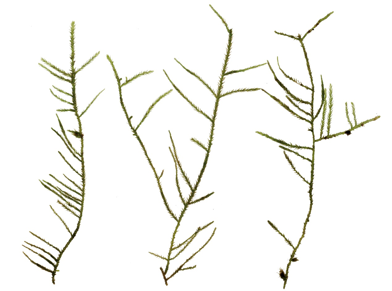 图片2.png 图片2.png
