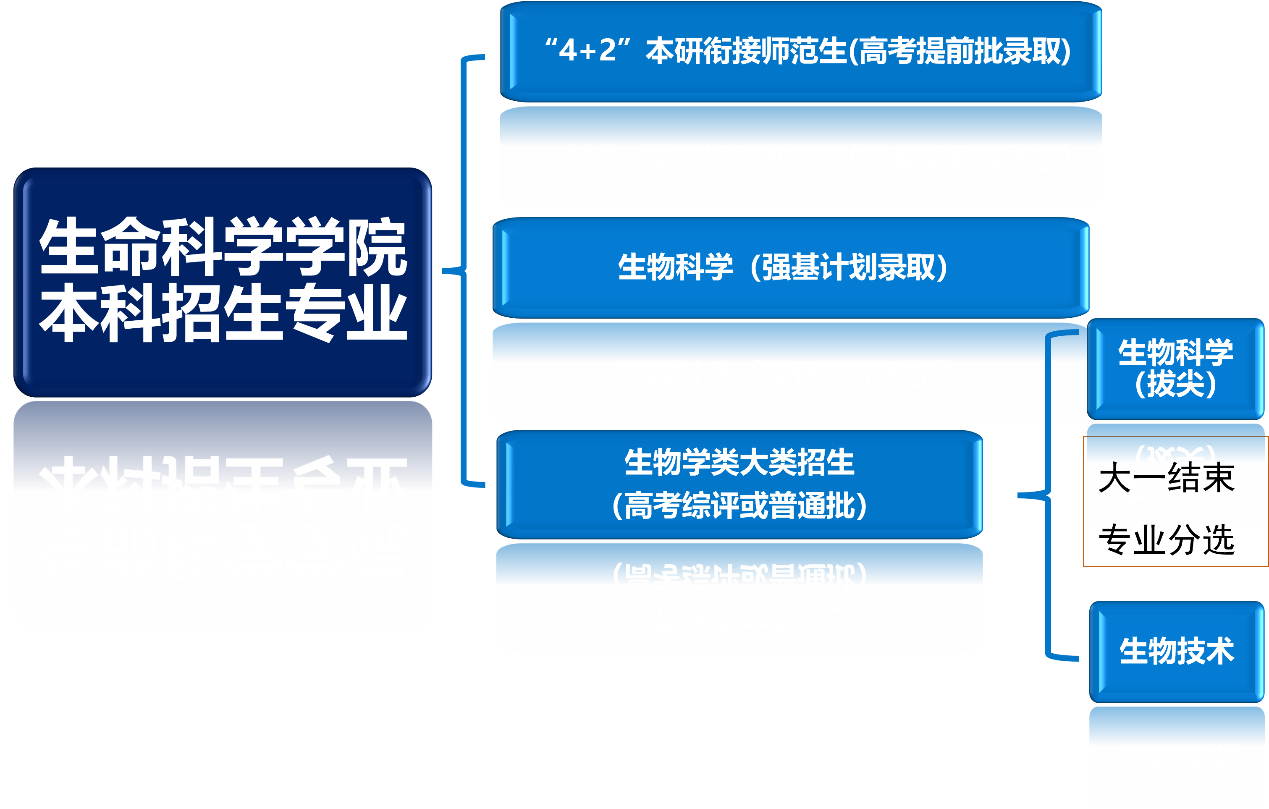 本科图片1.png
